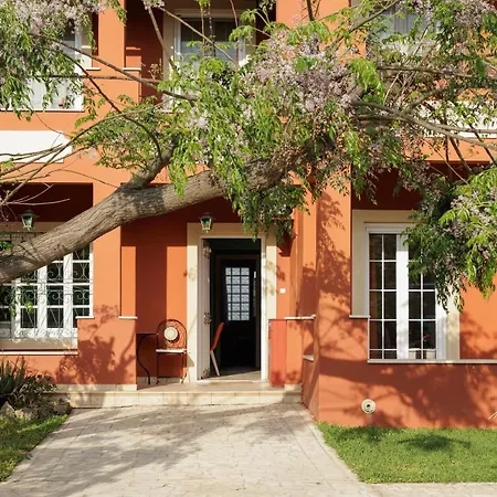 Homely 2bd In Dassia Appartement