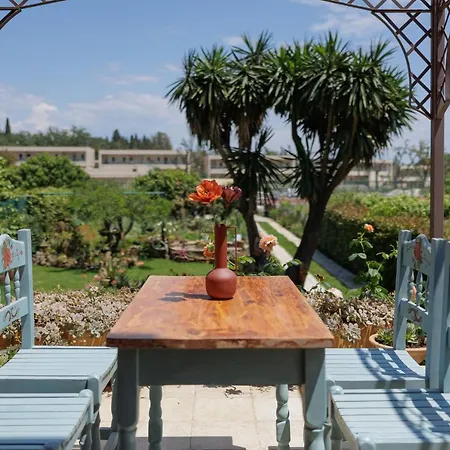 Homely 2bd In Dassia Appartement
